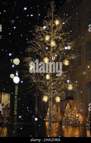 Abstract Background With Trees, Lights 