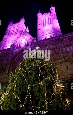 Lincoln Cathedral is floodlit for the annual Christmas market. The Christmas tree outside the main entrance to the Cathedral. The market returning after being cancelled the previous year due to Covid 19 is one of the largest Christmas markets in Europe. Centred in and around the catle and the Cathedral in the Bailgate area of Lincoln the markets draws visitors from all over Europe. Stock Photo
