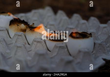 Empty eggshell candles burn in the egg tray. Five burning eggshells in a row. Selection trick. Stock Photo
