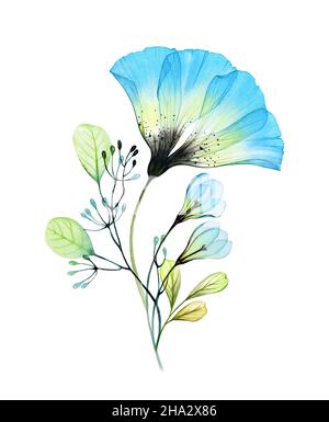 Watercolor floral bouquet with big anemone and snowdrops. Abstract composition with blue transparent flowers and leaves. Hand painted illustration for Stock Photo