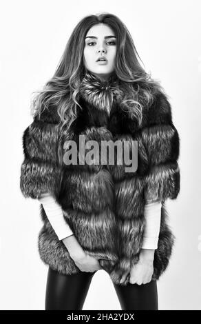 Female brown fur coat. Fur store model posing in soft fluffy warm coat. Pretty fashionista. Woman makeup and hairstyle posing mink or sable fur coat Stock Photo