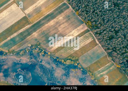 Rural landscape. Aerial top view. View of arable fields, forest, and river in summer