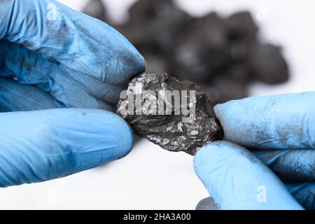 Hands in gloves hold lump of black coal in laboratory. Fossil fuel research concept. Stock Photo