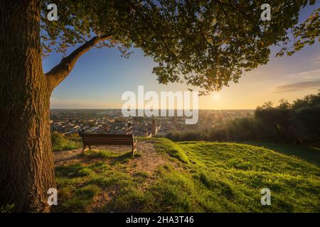 Tree, bench and Pietrasanta aerial view from Rocca di Sala fortress at sunset. Versilia Lucca, Tuscany region, Italy, Europe Stock Photo