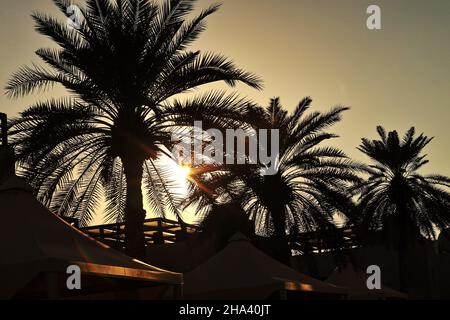 Abu Dhabi, Abu Dhabi. 10th Dec, 2021. Lewis Hamilton (GBR) Mercedes AMG ...