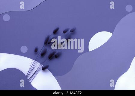 Purple very peri monochrome abstract paper background with dry bunny tail grass and natural organic paper shapes. Stock Photo