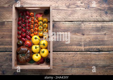 Box of freshly harvested heritage tomatoes including heirlom and beorange Stock Photo