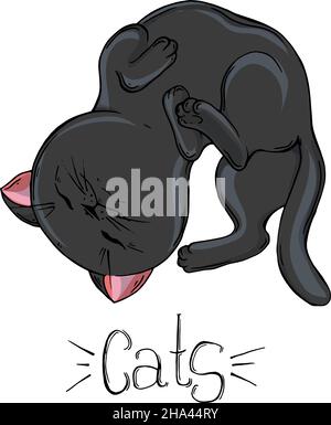 Painted set of black cats in different poses. Stock Vector
