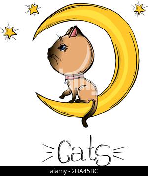 Vector drawing of a Siamese cat. cartoon cat Stock Vector