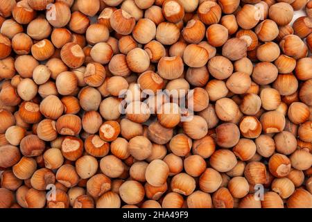 lots of hazelnuts photographed from above Stock Photo