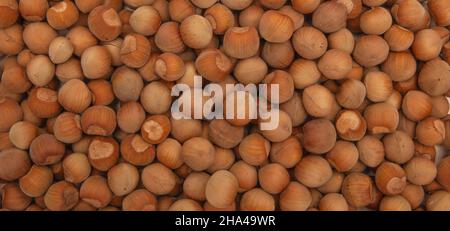 lots of hazelnuts photographed from above Stock Photo