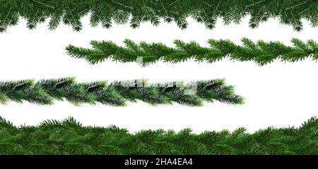 different fir branches isolated on white background Stock Photo