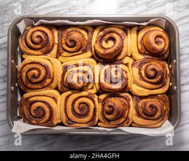 Baked Pumpkin Cinnamon Rolls in a Tray Stock Photo