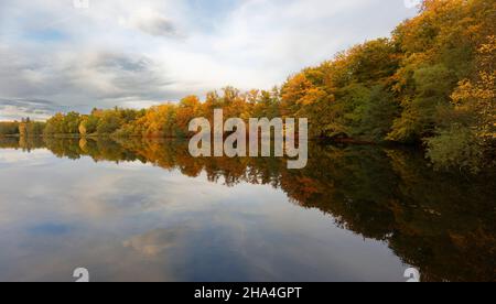 deciduous trees in autumn at the weßlinger see Stock Photo
