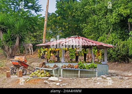 Roadside fruit stand with bananas, oranges and coconuts in the countryside in the Sierra Maestra, Santiago de Cuba Province, island Cuba, Caribbean Stock Photo