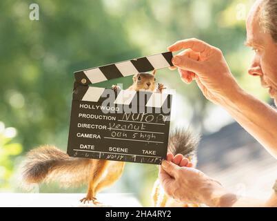red squirrel and man are holding a clapperboard Stock Photo