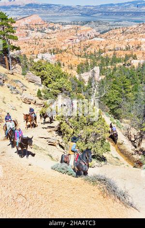 horseback riders,bryce canyon,bryce canyon national park,utah,usa Stock Photo