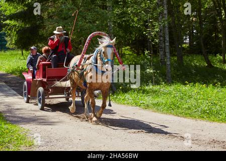 On the way with the horse-drawn carriage in the museum village Verkhniye Mandrogi on the river Swir, Middle Swir, Lenin-Volga-Baltic Canal, Leningrad Stock Photo