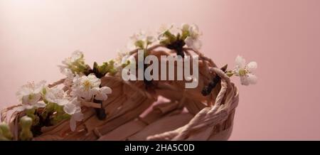 small branches of cherry blossoms in a wicker basket on a pink table Stock Photo