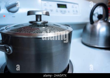Close up view of a large, silver pot with the lid on, steam forming inside as it keeps a cooked meal warm on a stove top Stock Photo