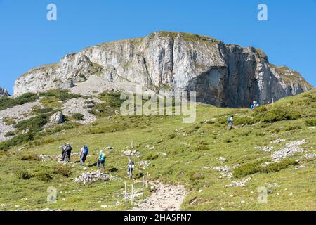austria,kleinwalsertal,hiking trail,ascent to hohen ifen. Stock Photo
