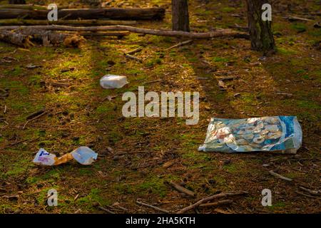 germany,luckenwalde,illegally disposed private household waste in the forest,pollution Stock Photo