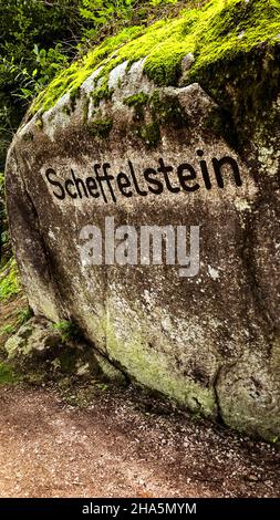 triberg,scheffelstein,plants,stone,black forest,baden-württemberg,germany Stock Photo