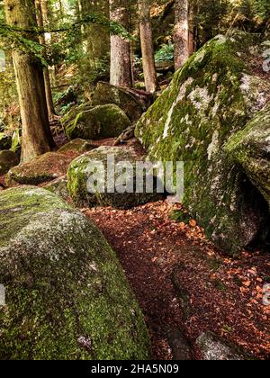 triberg,forest,tree,black forest,baden-wuerttemberg,germany Stock Photo