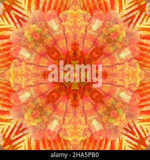 mandala,flowers,leaves Stock Photo