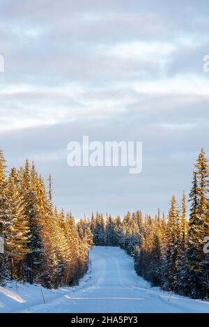 snow-covered road,forest,muonio,lapland,finland Stock Photo