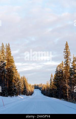 snow-covered road,forest,muonio,lapland,finland Stock Photo