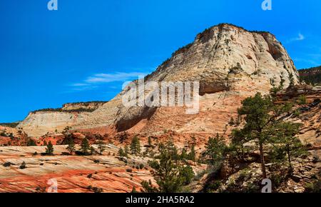 Zion National Park is known for its incredible canyons and spectacular views, Utah Stock Photo