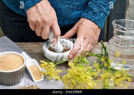 working steps with fennel and fennel seeds for the preparation of fennel syrup,woman is mortaring fennel seeds in a crucible Stock Photo