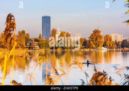 vienna,oxbow lake alte donau (old danube),dc tower 1,vienna international center vic (un building),izd tower,donaucity,rowing boat,rowers,autumn colors in 22. donaustadt,vienna,austria Stock Photo