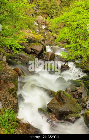 gaisholl waterfalls,sasbachwalden,black forest,baden-württemberg,germany Stock Photo