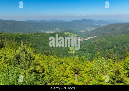 view over the northern black forest near kaltenbronn,black forest,baden-württemberg,germany Stock Photo