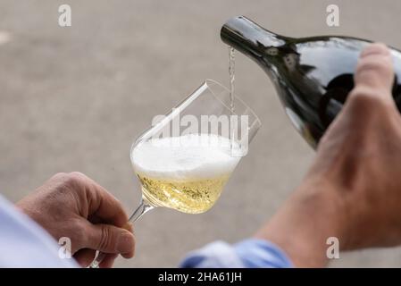 italy,trentino-alto adige,alto adige,south tyrol,überetsch,girlan,south tyrolean sparkling wine,comitissa lorenz martini Stock Photo