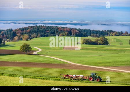 germany,bavaria,upper bavaria,tölzer land,münsing,district degerndorf,autumn landscape on lake starnberg,view from fürst-tegernberg at maria-dank-kapelle Stock Photo