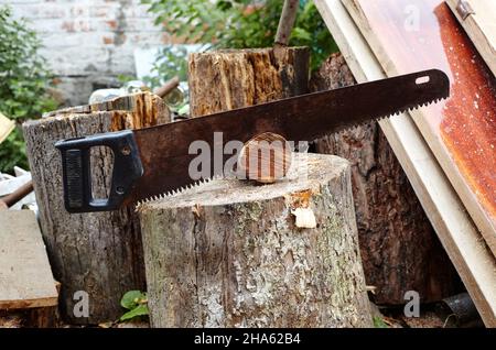 Saw for cutting wood. Preparation of firewood for the winter Stock Photo