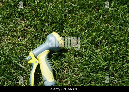 On the green lawn there is a hose for watering plants. A water hose with a sprayer for watering plants in the garden. Gardening concept. High quality photo Stock Photo