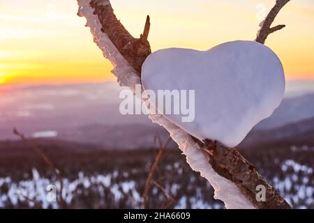 heart made of snow in a fork of branches at sunset on mount lusen,valentines day,bavaria,germany Stock Photo