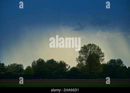 wild ducks,mallards (anas platyrhynchos) flying under a dark weather cloud,bavarian forest,bavaria,germany Stock Photo