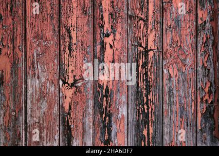 Old weathered wooden planks wall with coral pink peeling paint, distressed rustic grungy background or texture Stock Photo