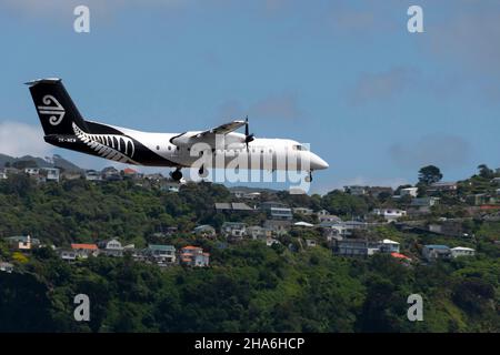 De Havilland Canada Dash 8 311, aeroplane, ZK-NEW, Air New Zealand, Wellington airport, North Island, New Zealand Stock Photo