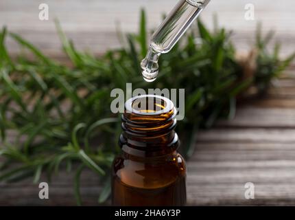 A bunch of fresh rosemary placed on a wooden board and oil drops in an essential oil bottle. Close up. Stock Photo