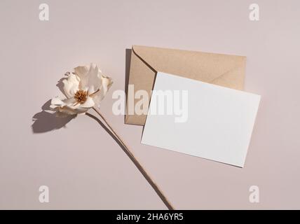 Summer wedding stationery mockup. Solid color greeting cards and invitations on beige background. White flowers. Natural light and shadow overlay. Fla Stock Photo