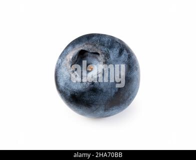 A single blueberry on a white background. Stock Photo