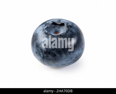 A single blueberry on a white background. Stock Photo