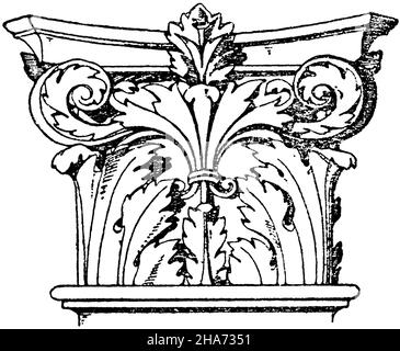 Corinthian pilaster capital. Italian Renaissance. From the Certosa near Florence., , ML (pattern book, ) Stock Photo