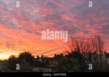 Southend on Sea, UK. 11th Dec, 2021. Dramatic red sky above the residential houses at sunrise. Penelope Barritt/Alamy Live News Stock Photo